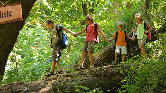 Urlaub im Bayerischen Wald