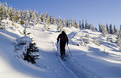 Winterurlaub in Philippsreut Bayerischer Wald